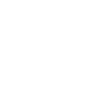 AU - EU Youth Lab